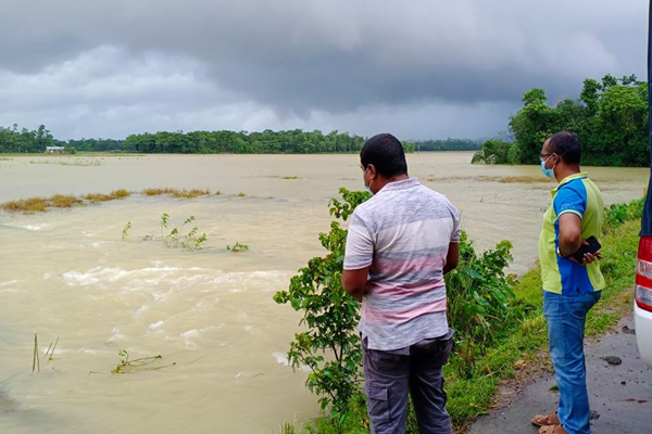 পাহাড়ি ঢল ও ভারি বৃষ্টিপাতে কানাইঘাটের নিম্নাঞ্চল প্লাবিত