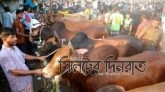 এবার ভারত-মিয়ানমার থেকে কোরবানির পশু প্রবেশ করতে দেওয়া হবে না