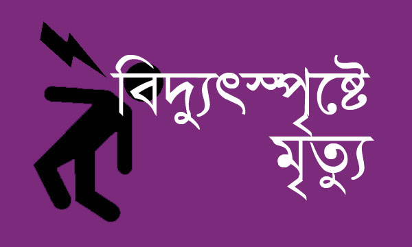 জগন্নাথপুরে বিদ্যুৎ স্পৃষ্ট হয়ে কাঁঠাল ব্যবসায়ী নিহত