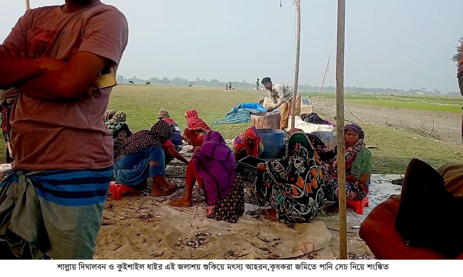 শাল্লায় দিঘালবন ও কুইশাইল ধাইর জলাশয় শুকিয়ে মৎস্য আহরন, জমিতে পানি সেচ নিয়ে কৃষকরা শংঙ্কিত